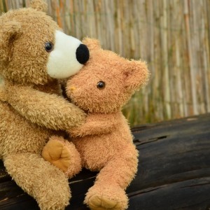 成波商行 成波商行