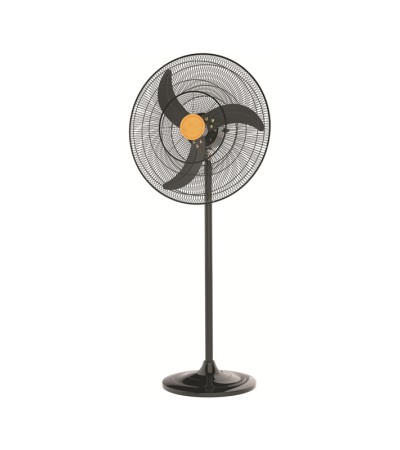 fan fan