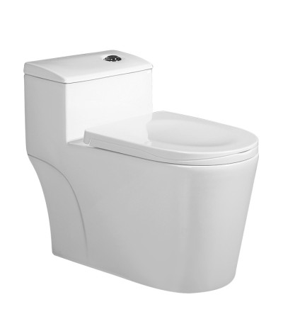 Sanitary porcelain ware Sanitary porcelain ware