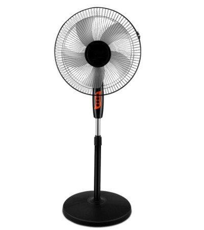 fan fan