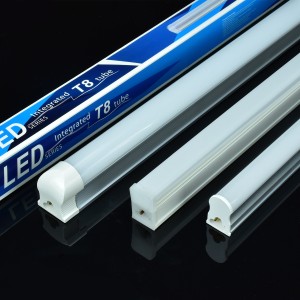 Integrated light tube, fully plastic fluorescent LED light tube