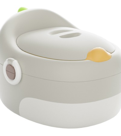 Potty seat for kids