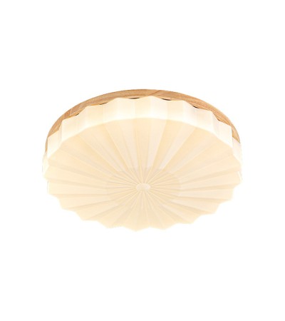 floodlight floodlight