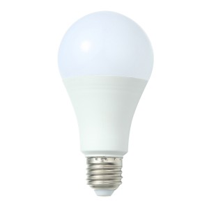 bulb bulb
