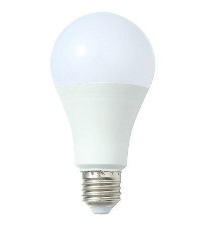 bulb bulb