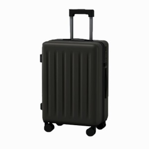 Large capacity luggage box