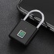 Lockset